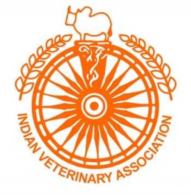 08de60a1-347f-4fe3-93b6-67322dfd3e18 (1)-PtOkuwEqeU.jpg