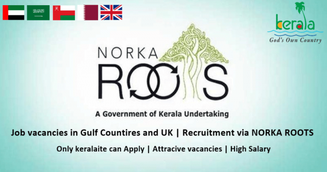 Norka-Roots-thumb-1024x538-8lIefWIMCr.png