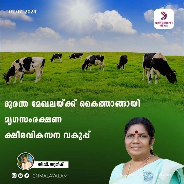 Untitled-1-Recovered 01-Recovered-Recovered-Recovered-Recovered-Recovered-SWb0dUf4Dp.jpg