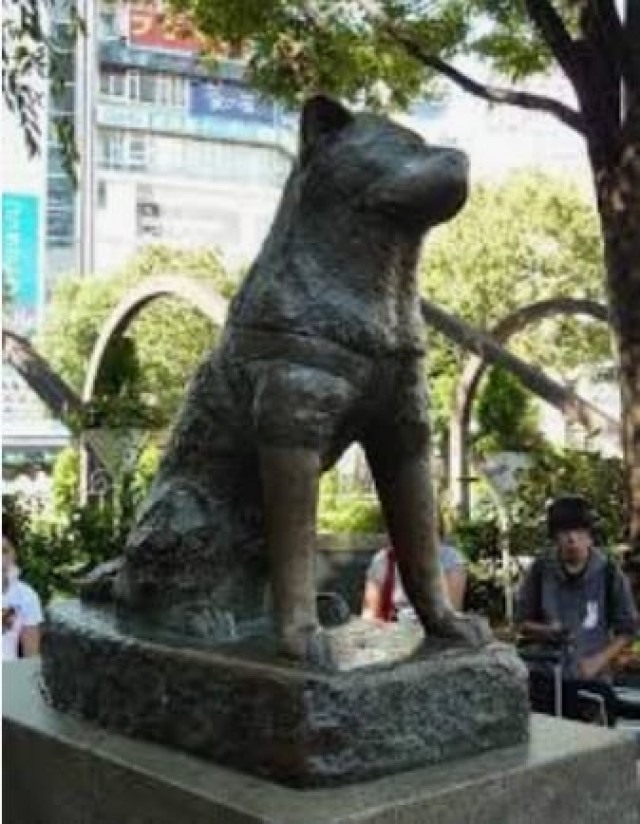 WhatsApp Image 2020-12-13 at 13.33.16-THnN7UVsCi.jpeg