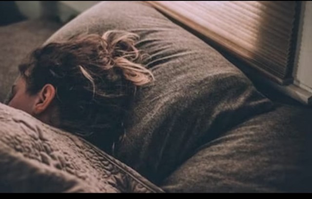 WhatsApp Image 2022-08-09 at 4.50.34 PM (1)-AlVyfC8r2t.jpeg