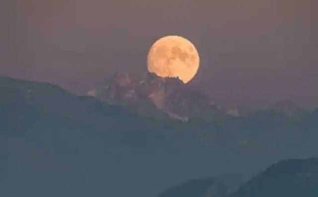 WhatsApp Image 2022-08-11 at 1.16.40 PM-dFy5qJ3COI.jpeg