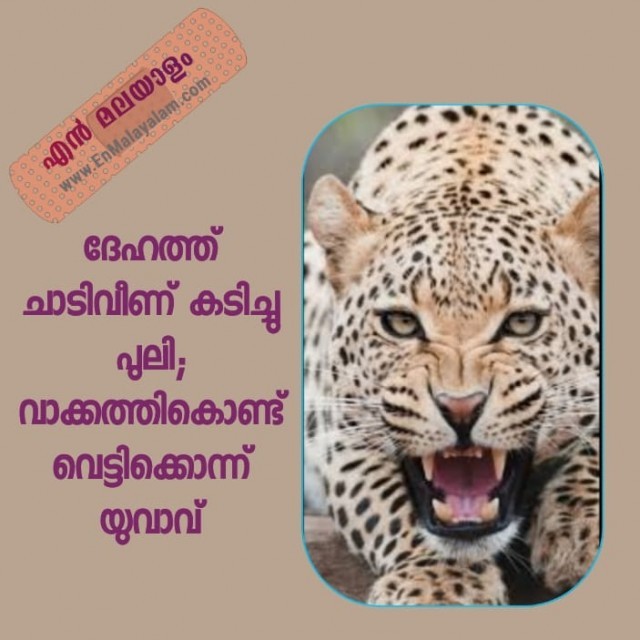 WhatsApp Image 2022-09-03 at 4.49.42 PM-aUwO1cAomb.jpeg