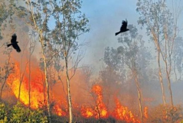 WhatsApp Image 2023-03-10 at 2.41.53 PM-PwItqF4kfJ.jpeg