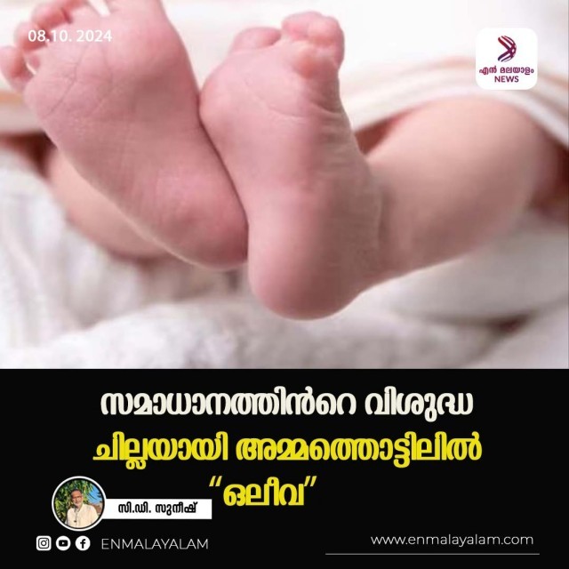 WhatsApp Image 2024-10-08 at 6.55.39 PM-bzw5prFOB9.jpeg