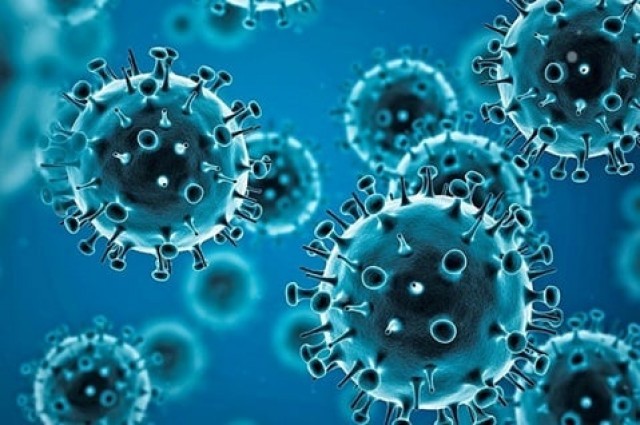 coronavirus-IcM8vnnQVa.jpg