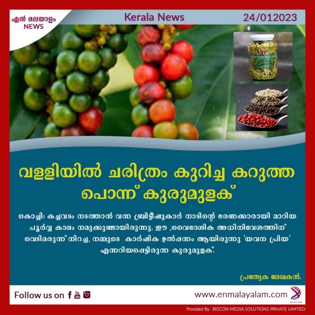 en-malayalam_news_06---Copy-VkokAEuBBa.jpg