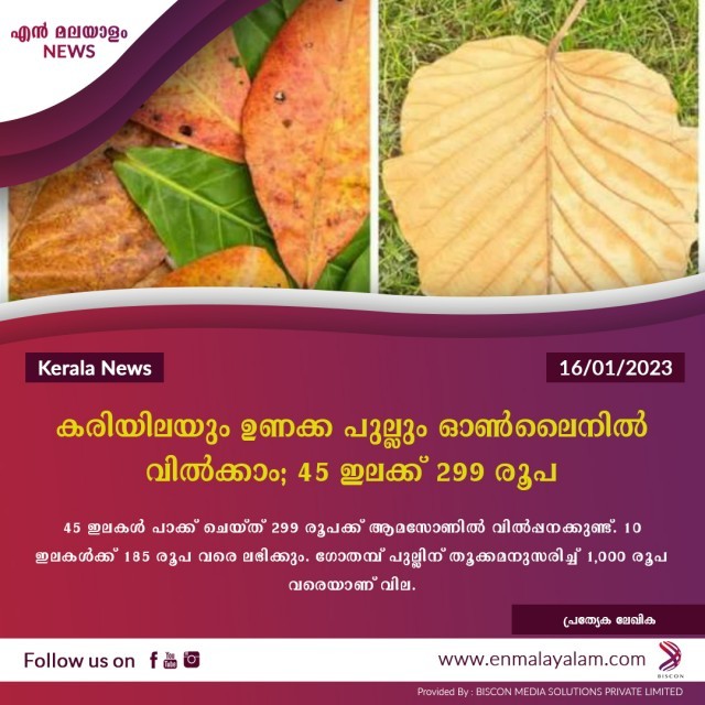 en-malayalam_news_06-nsVgvZ9p9j.jpg
