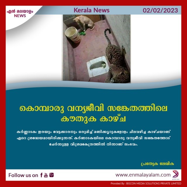 en-malayalam_news_07---Copy-OmBkwd26Uq.jpg