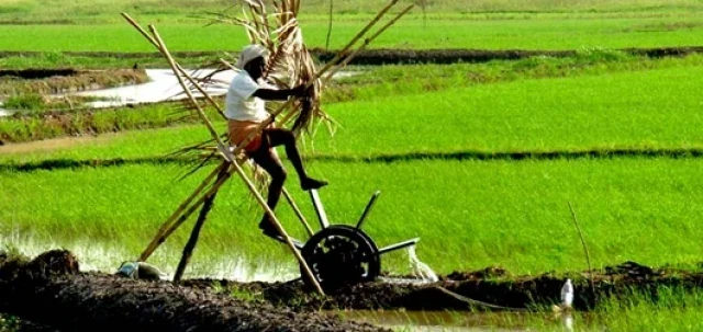 farmer-kP4HYJQ8b8.webp