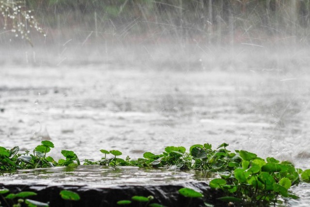 havy rainfall-PlhbUVsh2a.jpg