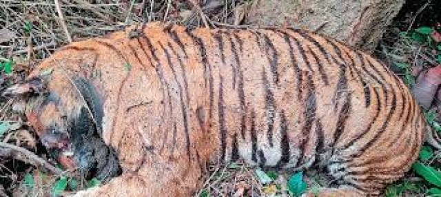 images (1)-Ff0zoszixh.jpg