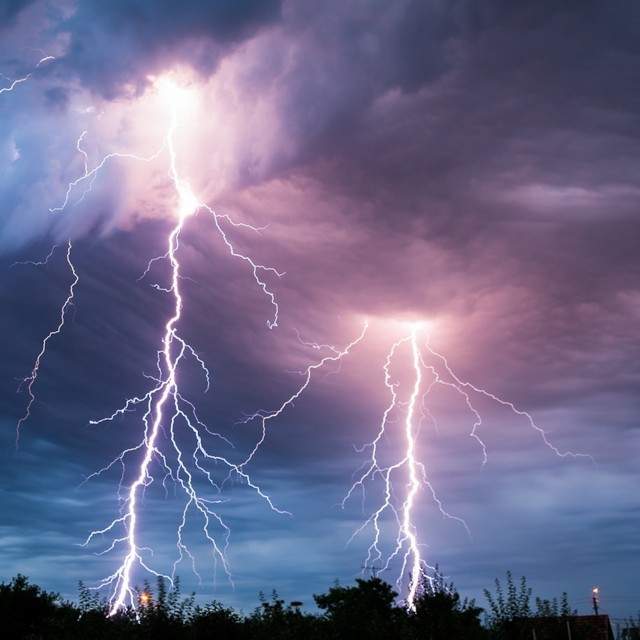lightning-trees_square-ln9RCbDeKK.jpg