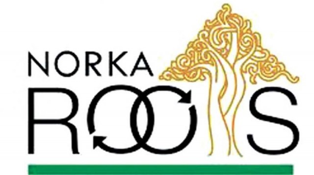 noorka-yCmihB3ASl.jpeg