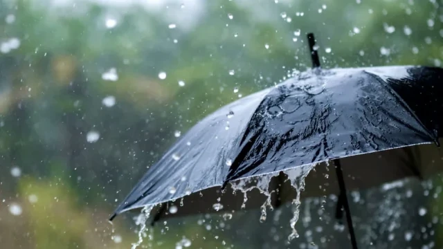 rain-bUHKcTbHQV.webp