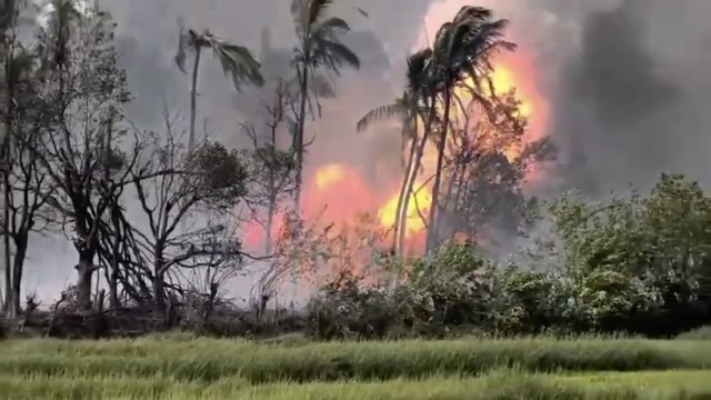 thrissur vedikettu accident-cRBHvIjsqe.jpeg