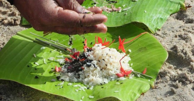 vavu-bali-c-DHxlCh2FLM.jpg